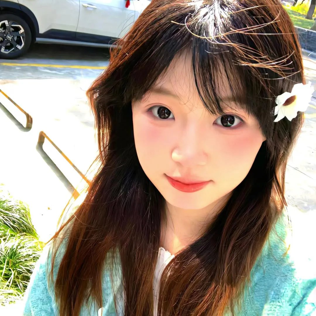 书记日记 海报
